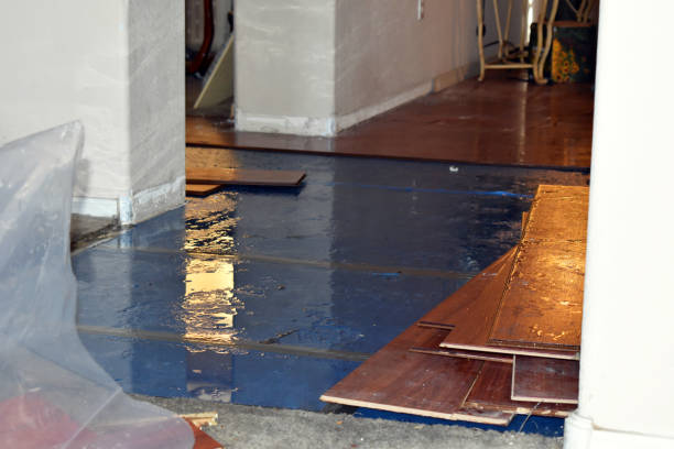 Professional Water Damage Restoration technician working in Cornish, UT